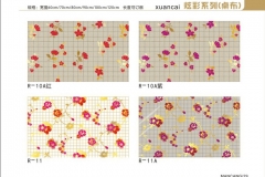 辽宁炫彩-图册10